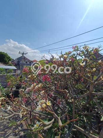 Jual Rumah Luas Elegan Dengan View Eksklusif di Gatot Subroto, Denpasar Jual Rumah Luas Elegan Dengan View Eksklusif di Gatot Subroto, Denpasar