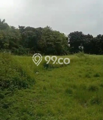 Tanah Komersial Dijual di Cikupa Tangerang 12000m2 Tanah Komersial Dijual di Cikupa Tangerang 12000m2