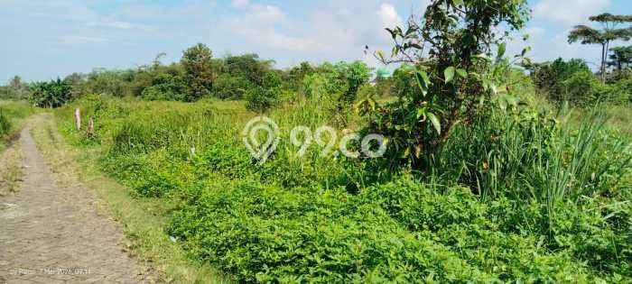 Tanah Strategis Dijual di Tigaraksa Tangerang 23000m2 Tanah Strategis Dijual di Tigaraksa Tangerang 23000m2