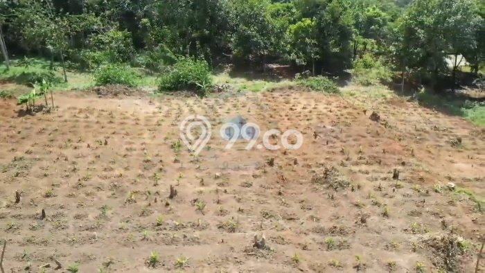 Kavling Tanah di Bogor Barat Dijual Luas 1830m2 Legalitas SHM Kavling Tanah di Bogor Barat Dijual Luas 1830m2 Legalitas SHM