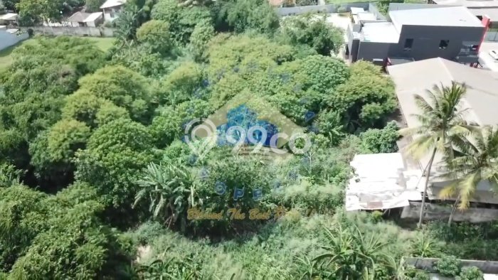 Lahan untuk Dijual Lokasi Cisauk, Tangerang Luas 4559m2 SHM Lahan untuk Dijual Lokasi Cisauk, Tangerang Luas 4559m2 SHM