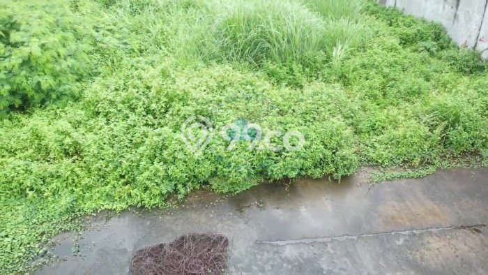 Kavling Tanah di Panongan Dijual Luas 1330m2 Legalitas SHM Kavling Tanah di Panongan Dijual Luas 1330m2 Legalitas SHM