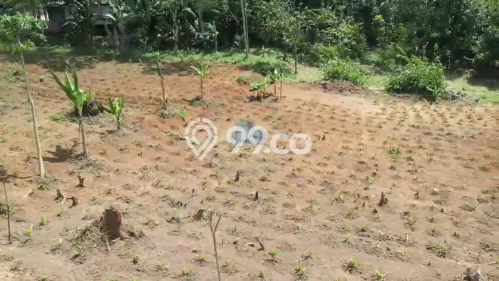 Kavling Tanah di Bogor Barat Dijual Luas 1830m2 Legalitas SHM Kavling Tanah di Bogor Barat Dijual Luas 1830m2 Legalitas SHM