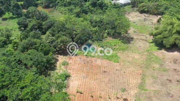 Kavling Tanah di Bogor Barat Dijual Luas 1830m2 Legalitas SHM Kavling Tanah di Bogor Barat Dijual Luas 1830m2 Legalitas SHM