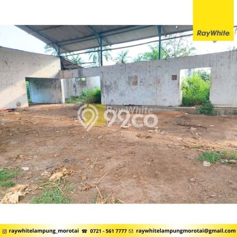 Tanah Dijual Lokasi Kalirejo, Lampung Tengah Luas 75580m2 Legalitas Aman Tanah Dijual Lokasi Kalirejo, Lampung Tengah Luas 75580m2 Legalitas Aman