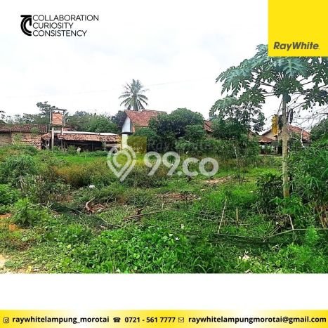 Lahan Kosong Dijual di Lampung Selatan dengan Area 2674m2 Lahan Kosong Dijual di Lampung Selatan dengan Area 2674m2