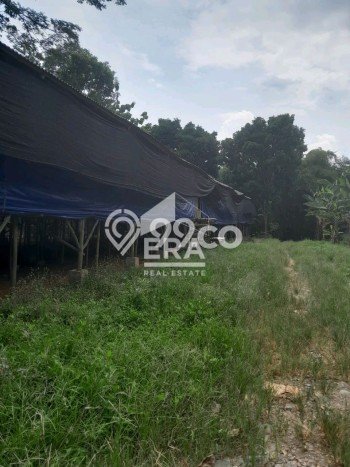Tanah Dijual Lokasi Cariu, Bogor Luas 10000m2 Legalitas Aman Tanah Dijual Lokasi Cariu, Bogor Luas 10000m2 Legalitas Aman