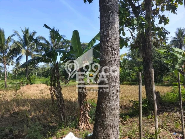 Lahan Dijual Lokasi Surade, Sukabumi dengan Luas Tanah 1910m2 dan Status SHM Lahan Dijual Lokasi Surade, Sukabumi dengan Luas Tanah 1910m2 dan Status SHM