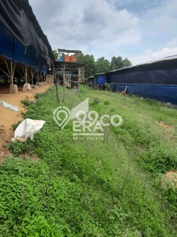Tanah Dijual Lokasi Cariu, Bogor Luas 10000m2 Legalitas Aman Tanah Dijual Lokasi Cariu, Bogor Luas 10000m2 Legalitas Aman