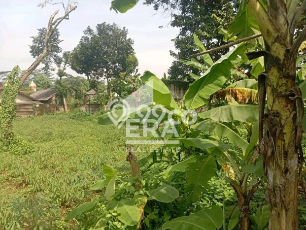 Jarang Ada! Tanah di Ciseeng Punya Luas 1200m2 SHM Jarang Ada! Tanah di Ciseeng Punya Luas 1200m2 SHM