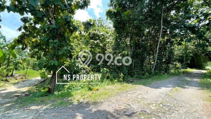 Tanah Area Berkembang Kawasan Sambi, Luas 3697m2m², Kawasan Asri, Dekat Sambi, Boyolali, Boyolali Tanah Area Berkembang Kawasan Sambi, Luas 3697m2m², Kawasan Asri, Dekat Sambi, Boyolali, Boyolali