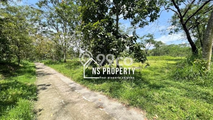 Lahan Investasi Lokasi Mojosongo Boyolali SHM Lahan Investasi Lokasi Mojosongo Boyolali SHM