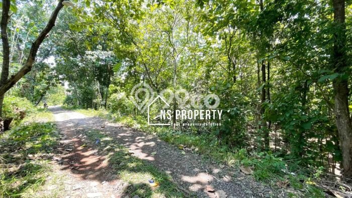 Tanah Area Berkembang Kawasan Sambi, Luas 3697m2m², Kawasan Asri, Dekat Sambi, Boyolali, Boyolali Tanah Area Berkembang Kawasan Sambi, Luas 3697m2m², Kawasan Asri, Dekat Sambi, Boyolali, Boyolali