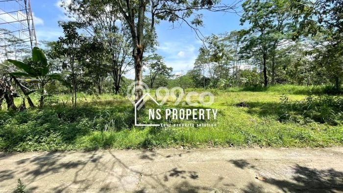 Lahan Investasi Lokasi Mojosongo Boyolali SHM Lahan Investasi Lokasi Mojosongo Boyolali SHM