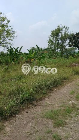 Tanah Dijual di Semarang Seluas 84m2 Strategis Tanah Dijual di Semarang Seluas 84m2 Strategis