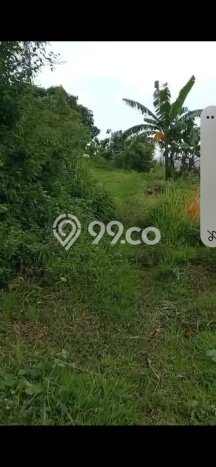 Dijual Tanah Lokasi Ketileng, Semarang Seluas 200m2 Dijual Tanah Lokasi Ketileng, Semarang Seluas 200m2