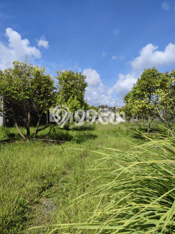 For Sale! Luxury House LT 4m2 Desain Elegan di Kulonprogo For Sale! Luxury House LT 4m2 Desain Elegan di Kulonprogo