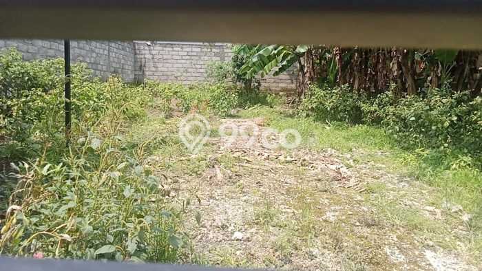 Lahan Sewa di Kediri Tabanan dengan Luas 200m2 Lahan Sewa di Kediri Tabanan dengan Luas 200m2