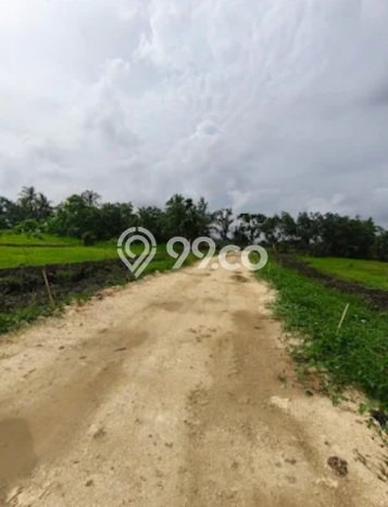 Tanah Kavling di Tabanan Dijual dengan Luas 500m2 Tanah Kavling di Tabanan Dijual dengan Luas 500m2