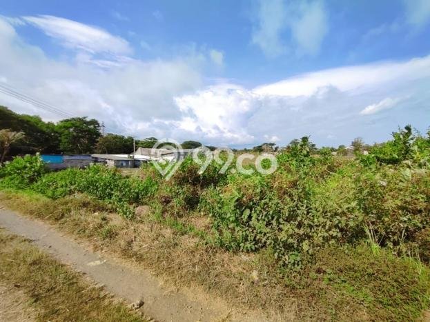 Jarang Ada! Tanah di Gianyar Punya Luas 1362m2 SHM Jarang Ada! Tanah di Gianyar Punya Luas 1362m2 SHM