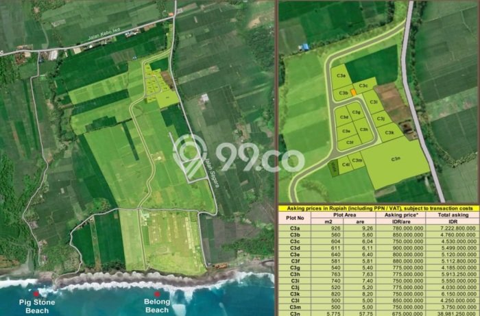 Tanah Kavling di Tabanan Dijual dengan Luas 500m2 Tanah Kavling di Tabanan Dijual dengan Luas 500m2