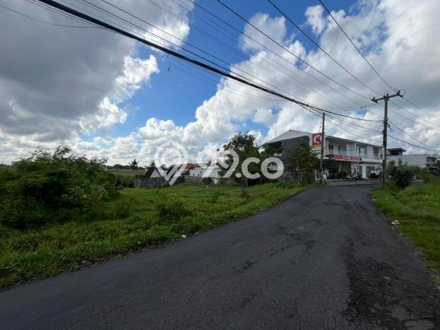 Kavling Tanah untuk Disewa di Pererenan Lahan Luas 647m2 Kavling Tanah untuk Disewa di Pererenan Lahan Luas 647m2