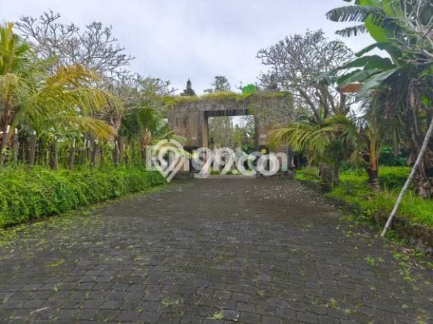 Untuk Dijual Tanah di Gianyar, Luas 100m2 SHM Untuk Dijual Tanah di Gianyar, Luas 100m2 SHM