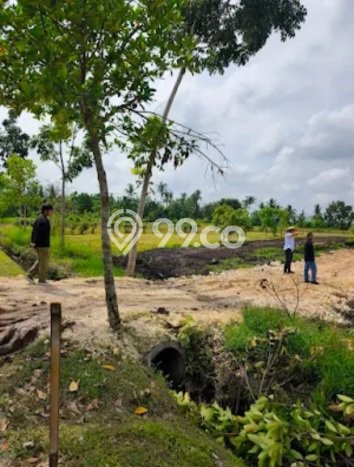 Tanah Kavling di Tabanan Dijual dengan Luas 500m2 Tanah Kavling di Tabanan Dijual dengan Luas 500m2