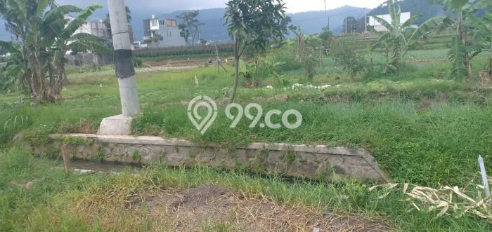 Tanah Kavling di Batu Dijual dengan Luas 1000m2 Tanah Kavling di Batu Dijual dengan Luas 1000m2