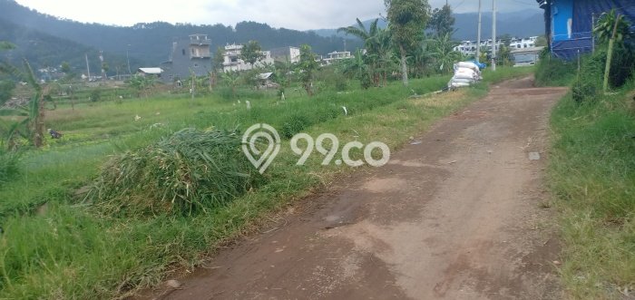 Tanah Kavling di Batu Dijual dengan Luas 1000m2 Tanah Kavling di Batu Dijual dengan Luas 1000m2