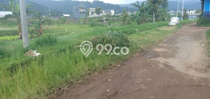 Tanah Kavling di Batu Dijual dengan Luas 1000m2 Tanah Kavling di Batu Dijual dengan Luas 1000m2