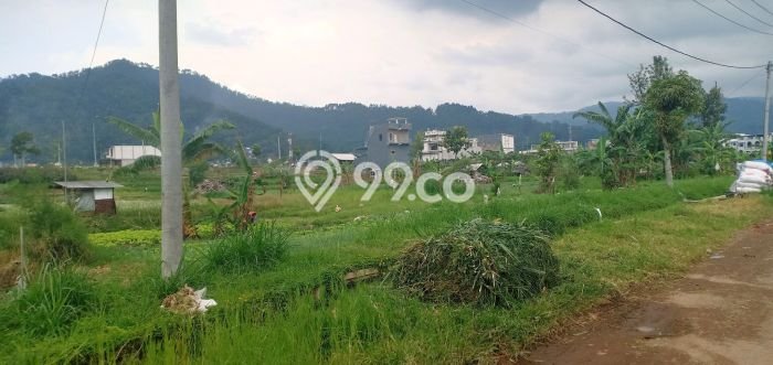 Tanah Kavling di Batu Dijual dengan Luas 1000m2 Tanah Kavling di Batu Dijual dengan Luas 1000m2