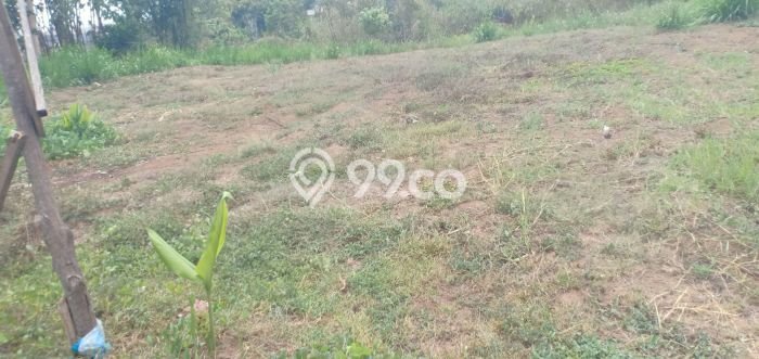 Tanah Dijual Lokasi Junrejo, Batu Luas 2025m2 Legalitas Aman Tanah Dijual Lokasi Junrejo, Batu Luas 2025m2 Legalitas Aman