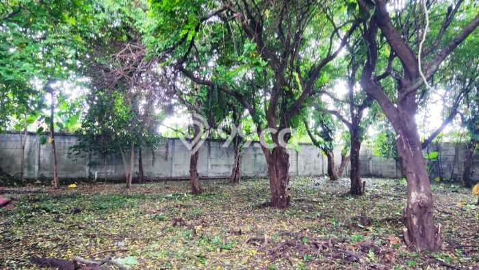 Tanah Kosong Dijual di Depok dengan Area 1114m2 Tanah Kosong Dijual di Depok dengan Area 1114m2