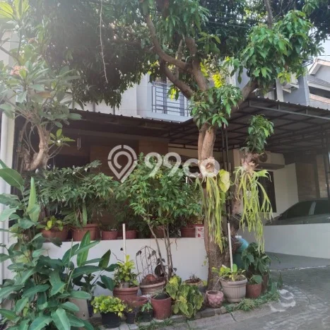Rumah Modern Cantik 3 KT Bisa Langsung Pindah di Cibinong Rumah Modern Cantik 3 KT Bisa Langsung Pindah di Cibinong