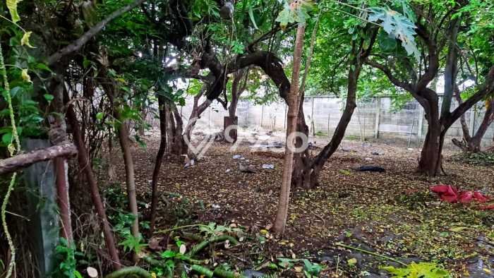 Tanah Kosong Dijual di Depok dengan Area 1114m2 Tanah Kosong Dijual di Depok dengan Area 1114m2