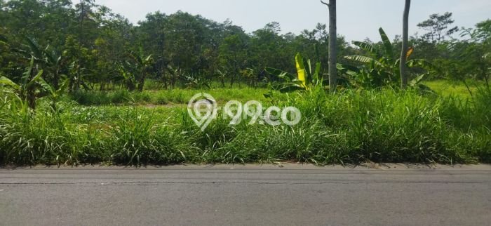 Tanah Kavling untuk Dijual di Tengaran Semarang 140000m2 Tanah Kavling untuk Dijual di Tengaran Semarang 140000m2