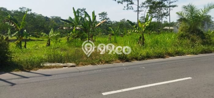 Tanah Kavling untuk Dijual di Tengaran Semarang 140000m2 Tanah Kavling untuk Dijual di Tengaran Semarang 140000m2