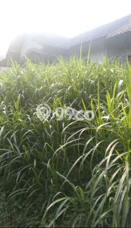 Tanah Kavling Dijual di Taman Sari, Salatiga dengan Luas Tanah 10000m2 Tanah Kavling Dijual di Taman Sari, Salatiga dengan Luas Tanah 10000m2