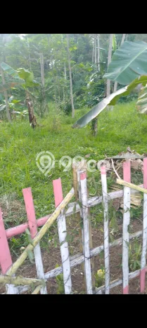 Tanah Dijual Lokasi Sidorejo, Salatiga Luas 10000m2 Legalitas Aman Tanah Dijual Lokasi Sidorejo, Salatiga Luas 10000m2 Legalitas Aman
