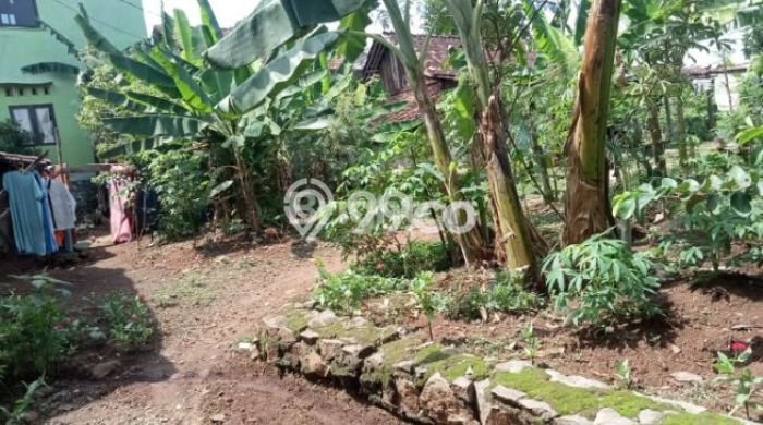 Tanah Dijual Lokasi Gunung Pati, Semarang dengan Luas Tanah 213m2 dan Status SHM Tanah Dijual Lokasi Gunung Pati, Semarang dengan Luas Tanah 213m2 dan Status SHM