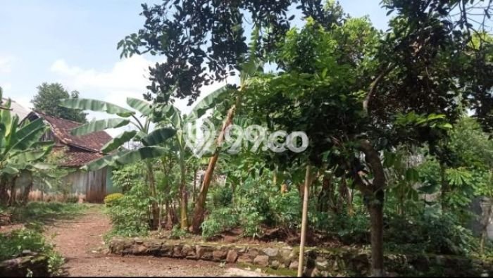 Tanah Dijual Lokasi Gunung Pati, Semarang dengan Luas Tanah 213m2 dan Status SHM Tanah Dijual Lokasi Gunung Pati, Semarang dengan Luas Tanah 213m2 dan Status SHM