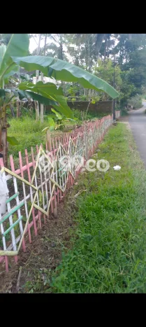Tanah Dijual Lokasi Sidorejo, Salatiga Luas 10000m2 Legalitas Aman Tanah Dijual Lokasi Sidorejo, Salatiga Luas 10000m2 Legalitas Aman