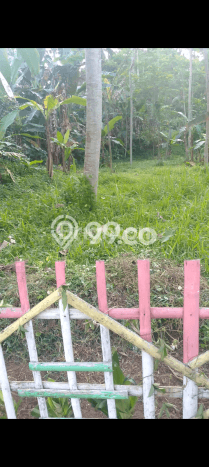 Tanah Dijual Lokasi Sidorejo, Salatiga Luas 10000m2 Legalitas Aman Tanah Dijual Lokasi Sidorejo, Salatiga Luas 10000m2 Legalitas Aman