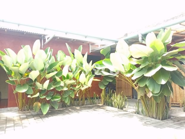 Komersial Bagus Dijual LB 400m2 Lokasi Strategis Magelang Area Cocok untuk Bisnis Komersial Bagus Dijual LB 400m2 Lokasi Strategis Magelang Area Cocok untuk Bisnis