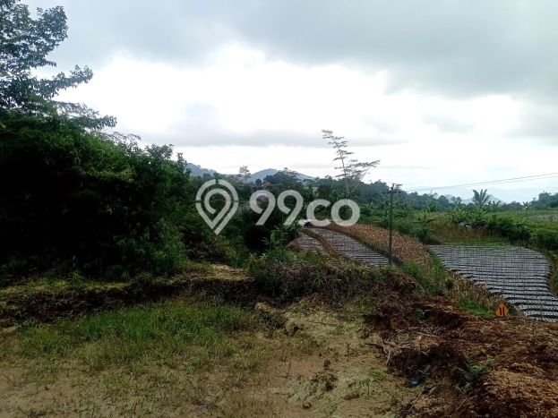 Kavling Tanah Dijual di Kaliangkrik, Magelang, Luas 10000m2 Area Strategis Kavling Tanah Dijual di Kaliangkrik, Magelang, Luas 10000m2 Area Strategis