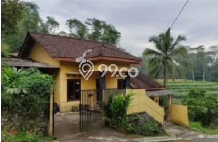Rumah Minimalis Favorit Siap Huni Area Windusari LT 700m2 Rumah Minimalis Favorit Siap Huni Area Windusari LT 700m2