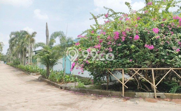 Pabrik Dijual di Cikande Serang dengan Luas Bangunan 2400m2 Pabrik Dijual di Cikande Serang dengan Luas Bangunan 2400m2
