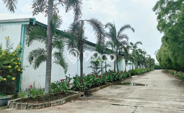 Pabrik Dijual di Cikande Serang dengan Luas Bangunan 2400m2 Pabrik Dijual di Cikande Serang dengan Luas Bangunan 2400m2
