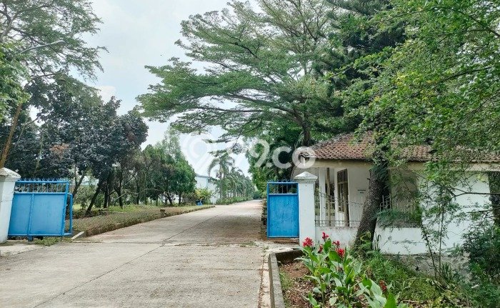 Pabrik Dijual di Cikande Serang dengan Luas Bangunan 2400m2 Pabrik Dijual di Cikande Serang dengan Luas Bangunan 2400m2